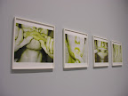 DSCN1821.JPG