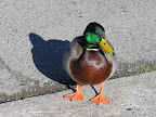 DSCN2999.JPG