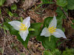 IMGP0284.JPG