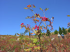 DSCN4161.JPG