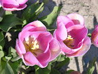 DSCN4486.JPG