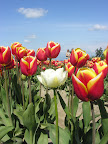 DSCN4491.JPG