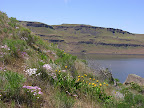 DSCN4583.JPG