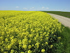 DSCN4612.JPG
