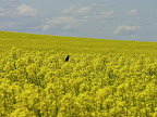 DSCN4622.JPG