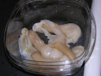 DSCN7089.JPG