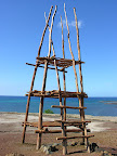 DSCN7291.JPG