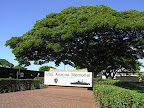 DSCN7907.JPG