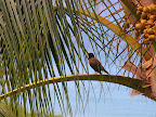 DSCN7386.JPG