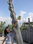 DSCN7855.JPG