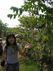 DSCN7876.JPG
