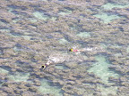 DSCN8048.JPG