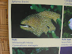 DSCN8018.JPG