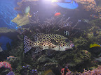 DSCN8199.JPG