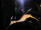 DSCN8220.JPG