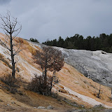 黄石国家公园 | Yellowstone
