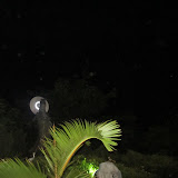 IMG_2543.JPG