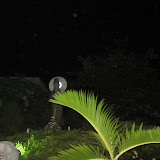 IMG_2549.JPG