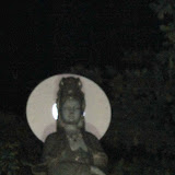 IMG_2501.JPG