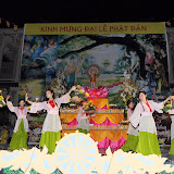 DSC_0310.JPG
