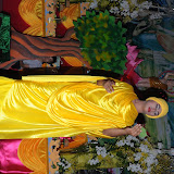 DSC_0451.JPG