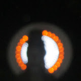 IMG_2747 copy.jpg