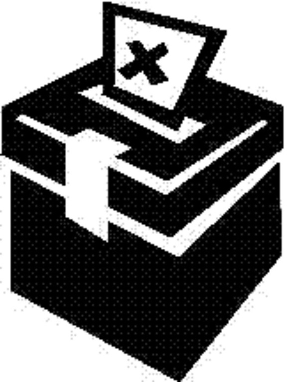 [Not Voting[4].jpg]