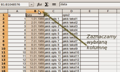 Blokowanie kolumny w arkuszu kalkulacyjnym typu Excel Blokowanie kolumny w arkuszu kalkulacyjnym typu Excel