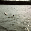 1-28-2010_080.jpg