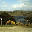 1-27-2010_080.jpg