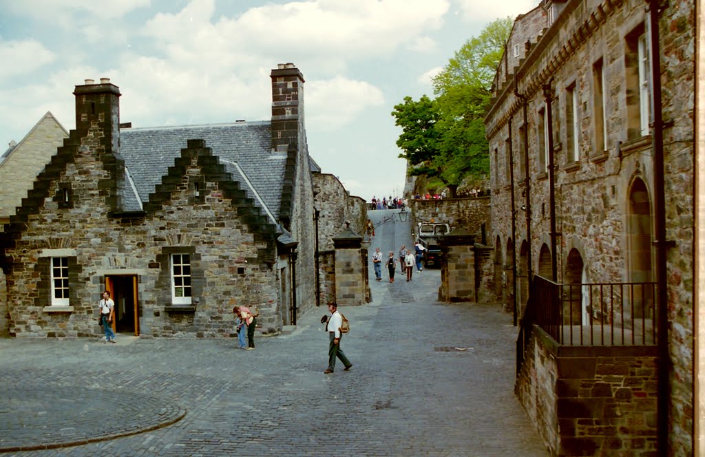 2-26-2010_005.jpg