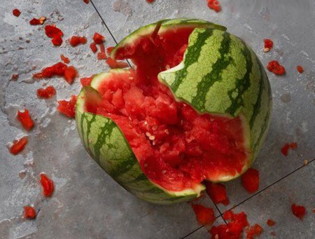 melonroto9871