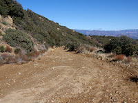PC220083.JPG
