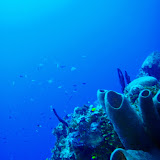 02-12-10 - Orange Canyon, Hammerhead Hole