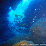 02-12-10 - PM Dives - Blackies Hole, Kent's Caves