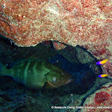 02-17-10 - Pirates Cove, Pallas East