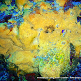 02-21-10 - PM Dives - Eagles Nest, OV