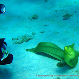 02-23-10 - Stingray City