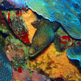 07-03-10 - Northwest Point, Lone Star Reef