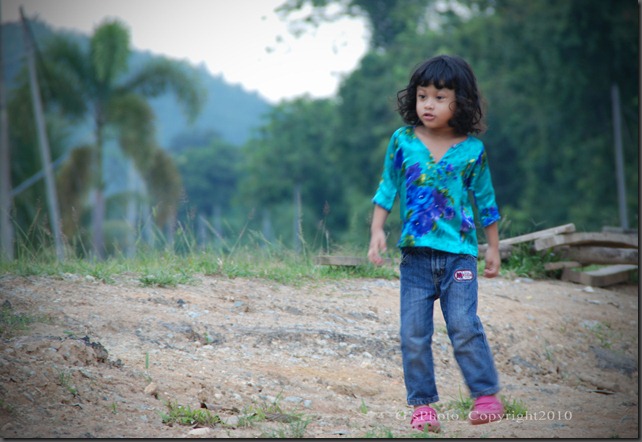 DSC_0062 DSC_0062
