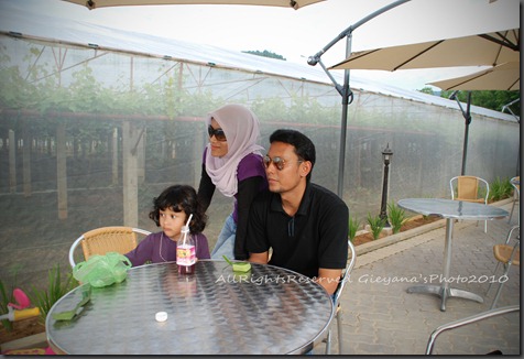 DSC_1012 DSC_1012