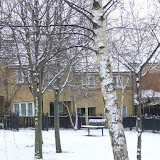 Snow%20263