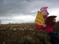 Appleby Feb 2010 011.jpg