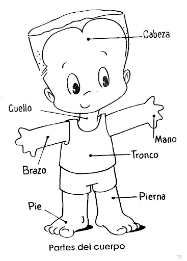 Que son necesarios los ejercicios para aumentar el miembro