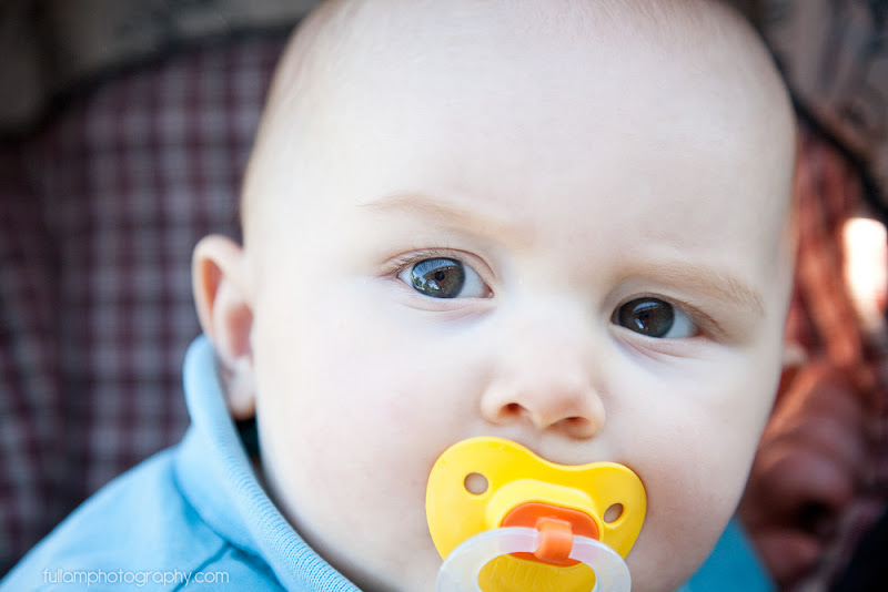  :: triston| baby :: 