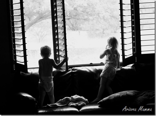 kids in shutters