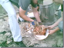 Plating the Bird Plating the Bird