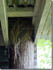Nest #2