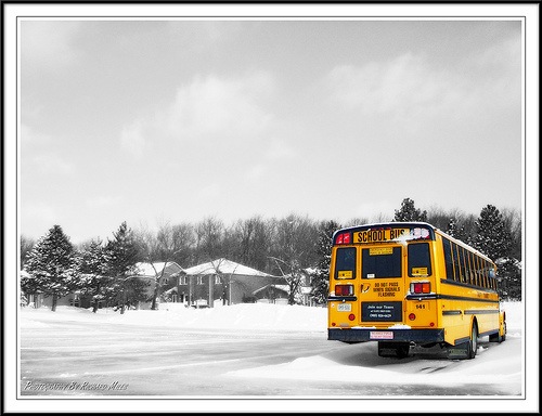 [school bus[4].jpg]