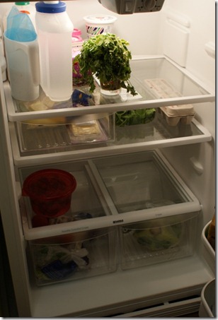 fridge 6